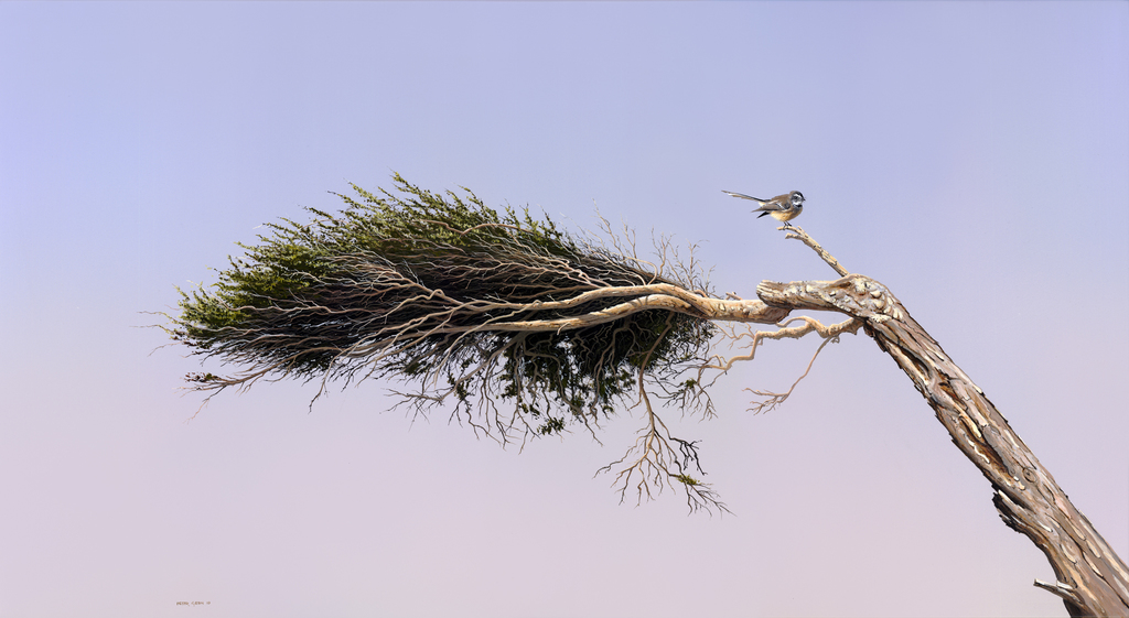 Against the Wind